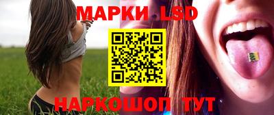 хмурый Можга