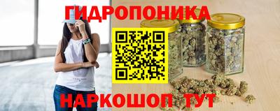 apvp Моздок