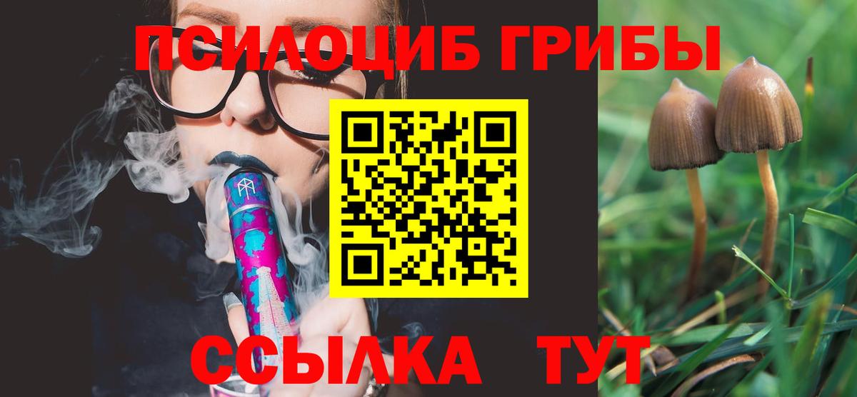 Галлюциногенные грибы Psilocybine cubensis  Вход с VPN  Псилоцибиновые грибы прущие грибы  Сосновый Бор 
