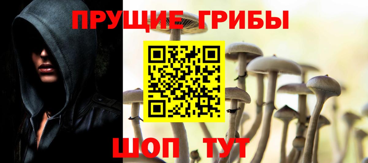 Галлюциногенные грибы MAGIC MUSHROOMS Сосновый Бор